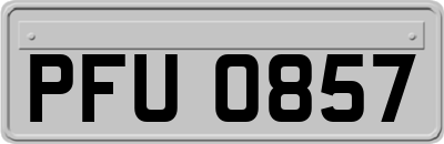 PFU0857