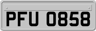 PFU0858