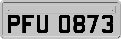 PFU0873