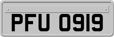 PFU0919