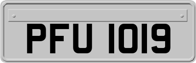 PFU1019