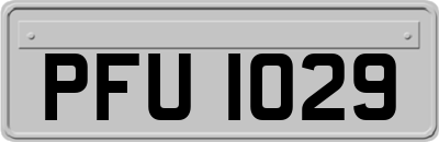 PFU1029