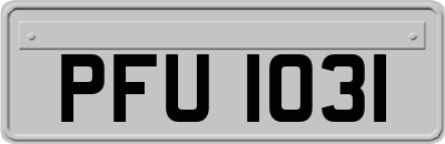 PFU1031