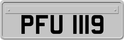 PFU1119