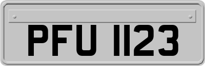 PFU1123