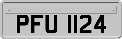 PFU1124