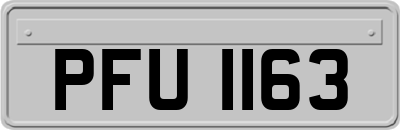 PFU1163