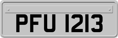 PFU1213