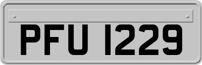PFU1229