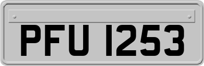 PFU1253