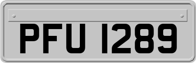 PFU1289