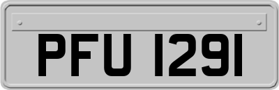 PFU1291