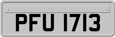 PFU1713