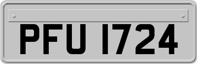 PFU1724