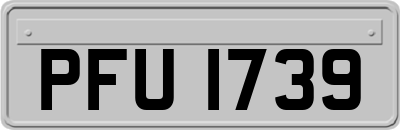 PFU1739