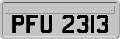PFU2313