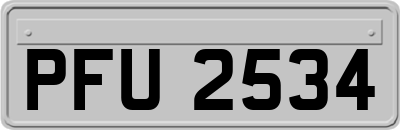 PFU2534