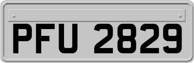 PFU2829