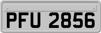 PFU2856