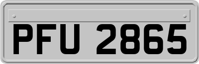 PFU2865