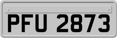 PFU2873