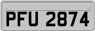PFU2874