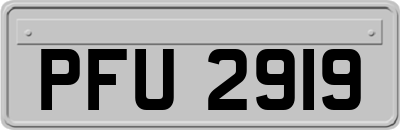 PFU2919