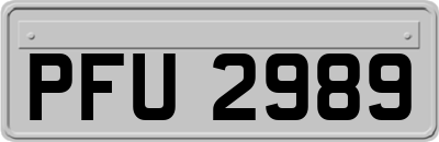 PFU2989