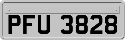 PFU3828
