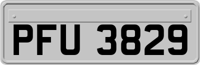 PFU3829