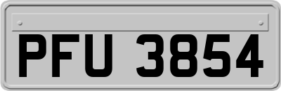PFU3854