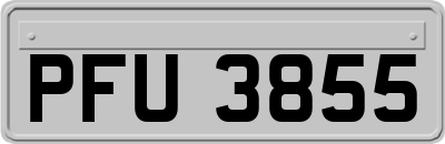PFU3855