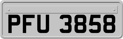 PFU3858