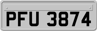 PFU3874