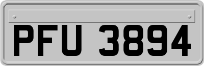 PFU3894