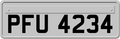 PFU4234