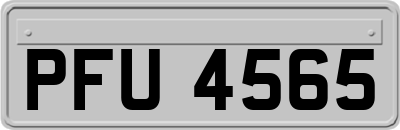 PFU4565