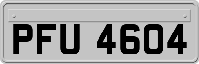 PFU4604