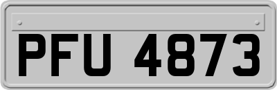 PFU4873