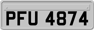PFU4874
