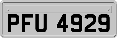 PFU4929