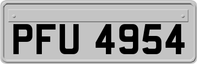 PFU4954