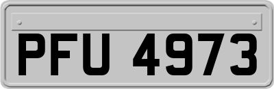 PFU4973