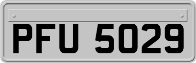PFU5029