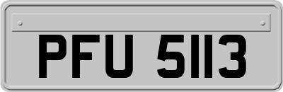 PFU5113