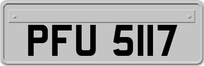 PFU5117