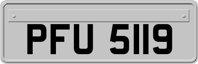 PFU5119