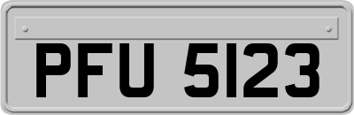 PFU5123