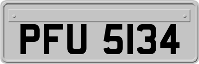 PFU5134