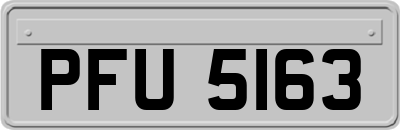PFU5163